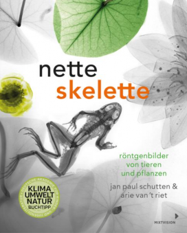 Nette Skelette (Bild: mixtvision)